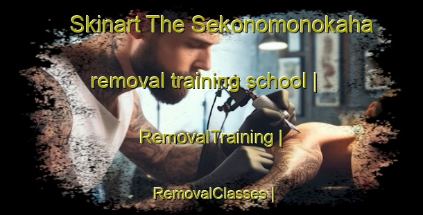 Skinart The Sekonomonokaha removal training school | RemovalTraining | RemovalClasses | SkinartTraining-Côte d Ivoire